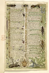 Bladeren uit een proza verhandeling over de Zeven Ondeugden en een vers over gebeurtenissen uit de geschiedenis van Sicilië in de tijd van Frederik II, door Cocharelli, c.1330-40