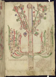 Corpus Christi Oxford MS 255A f.11r Boom die genealogie van Bijbelse figuren in het Nieuwe Testament afbeeldt