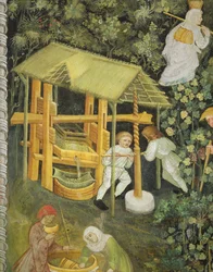 Druiven Pletten. De Wijnpers