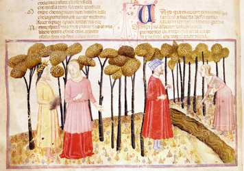 Dante en Vergilius op de top van het vagevuur, uit De goddelijke komedie door Dante Alighieri
