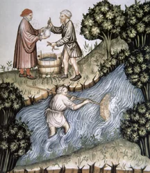 Vissen, illustratie uit Tacuinum Sanitatis Codex Vindobonensis