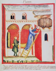 Azijn, illustratie uit Tacuinum Sanitatis Codex Vindobonensis