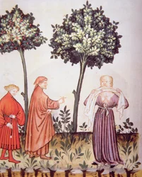 Cholera, illustratie uit Tacuinum Sanitatis Codex Vindobonensis