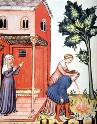 Overgeven, illustratie uit Tacuinum Sanitatis Codex Vindobonensis