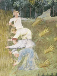Tarwe oogsten (detail)