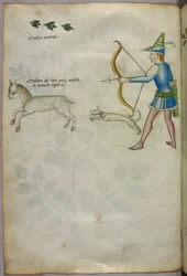 Illustratie van een man met een boog die op een dier schiet, met een hond en vogels erboven, ca. 1440 (inkt en kleur op perkament)