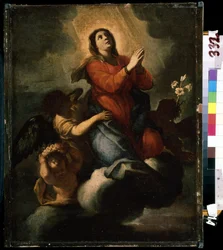 De tenhemelopneming van de Heilige Maagd Maria
