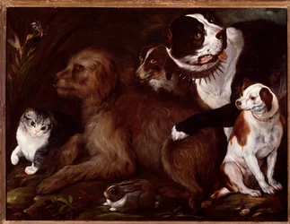 Medici honden, met een kat en een konijn uit de Italiaanse school