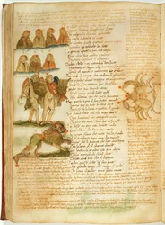 Gemini, Leo en Kreeft, uit de 