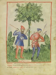 De Westenwind, uit Tacuinum Sanitatis