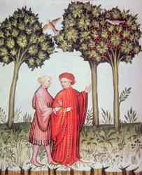 Twee vrienden samen op pad, uit Tacuinum Sanitatis Codex Vindobonensis