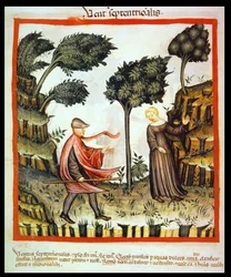 Nova 2644 fol.58v De Noordwind, uit Tacuinum Sanitatis