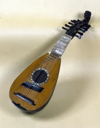 Venetiaans mandoline stilleven