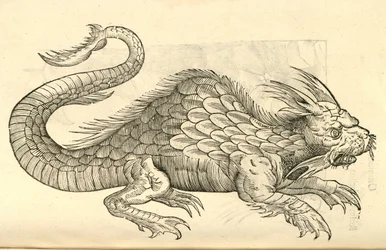 Illustratie van Orobonis Piscis effigies uit Aldrovandis Geschiedenis van Monsters, 1642