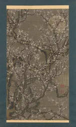 Witte pruimenbloesems en maan