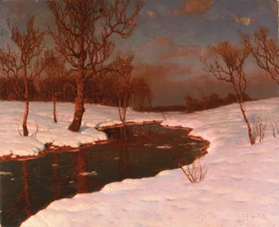 Zonsondergang op een Besneeuwd Rivierlandschap