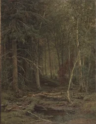 Wildernis