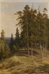 Het dennenbos, 1895