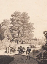Tuin van Nordfeldt