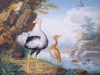 Exotische vogels en een uil aan de oevers van een rivier