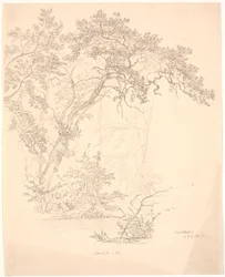 Bomen