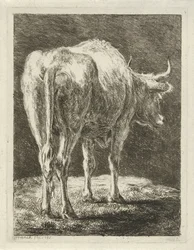 Koe in een landschap