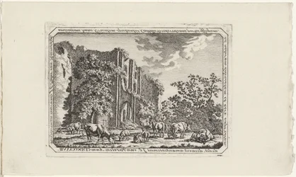 Vee bij de ruïne van Brederode