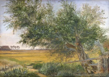 De oude boom, 1842
