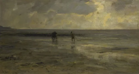 Strand bij avond