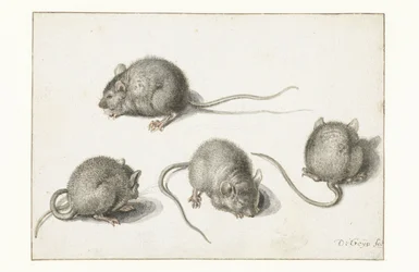 Vier Studies van een Zieke Muis