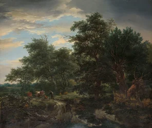 Boslandschap