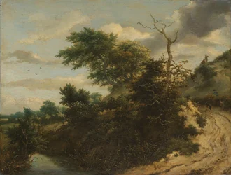 Zandpad in de duinen