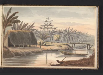 Plantage Visserszorg met bananenveld Bananen Grond Visserszorg Album met tekeningen van Suriname, p.9 (50)