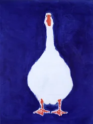 Coedwynog gans, 2000