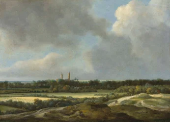Een uitgestrekt landschap met graanvelden, Heemstede daarachter