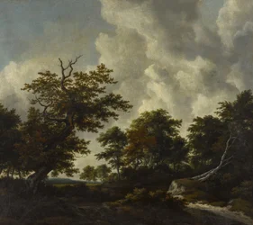 Bosachtig landschap met een grote eik en twee omgevallen beuken bij een waterval