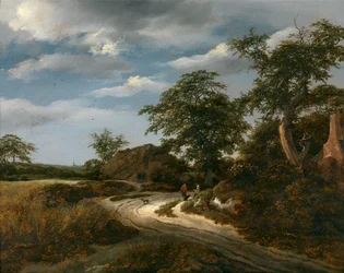 Landschap