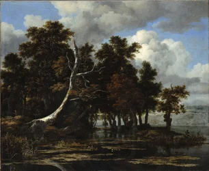 Eiken bij een meer met waterlelies