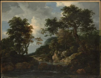 De bosbeek
