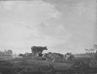Rustend rundvee aan de oever