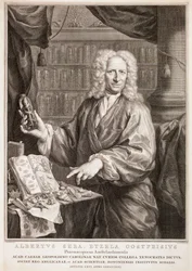 Portret van Albertus Seba, naar Jan Maurits Quinkhard