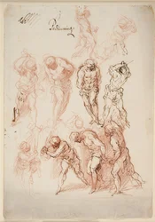 Studies voor een geseling