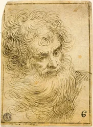 Hoofd van bebaarde oude man (recto); Decoratieve schets van bloem en bladeren (verso)