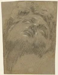 Hoofd van Giuliano dei Medici