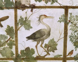 Ibis, uit een Fresco van een Volière in de Villa Medici, ca. 1576-77
