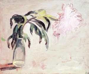 Een chrysant in een fles