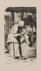 Vrouw Scheert Schapen