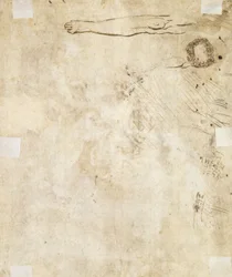 Studie van een been, krul en krabbels, 1610-17