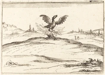 Brandende feniks, 1628