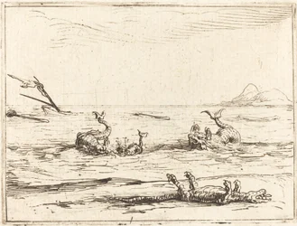 Dolfijnen en krokodil